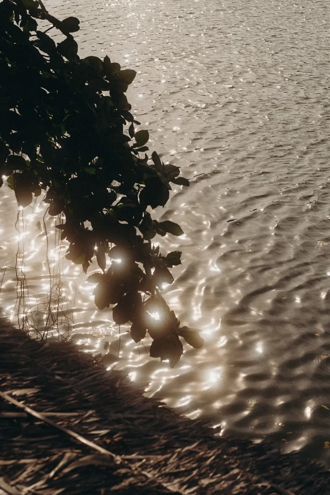 Golden-hour light sparkling on the lake at The Lakehouse